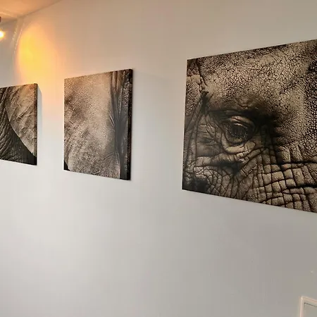 Apartmán Stadtheimat29 Munster (North Rhine-Westphalia)