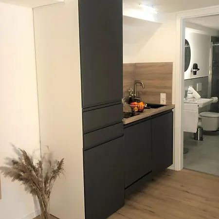 Stadtheimat29 Lejlighed *