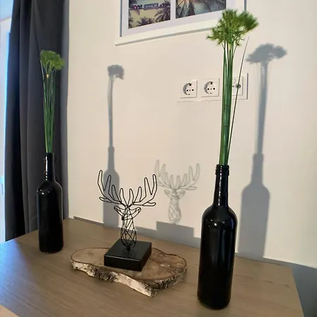 Apartmán Stadtheimat29 *